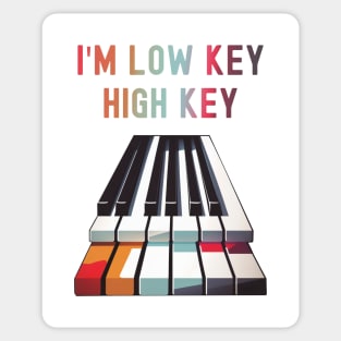 I'm Low Key High Key Cute Graphic Pun Phrase Sticker